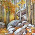 By Kaylinda Schuhart